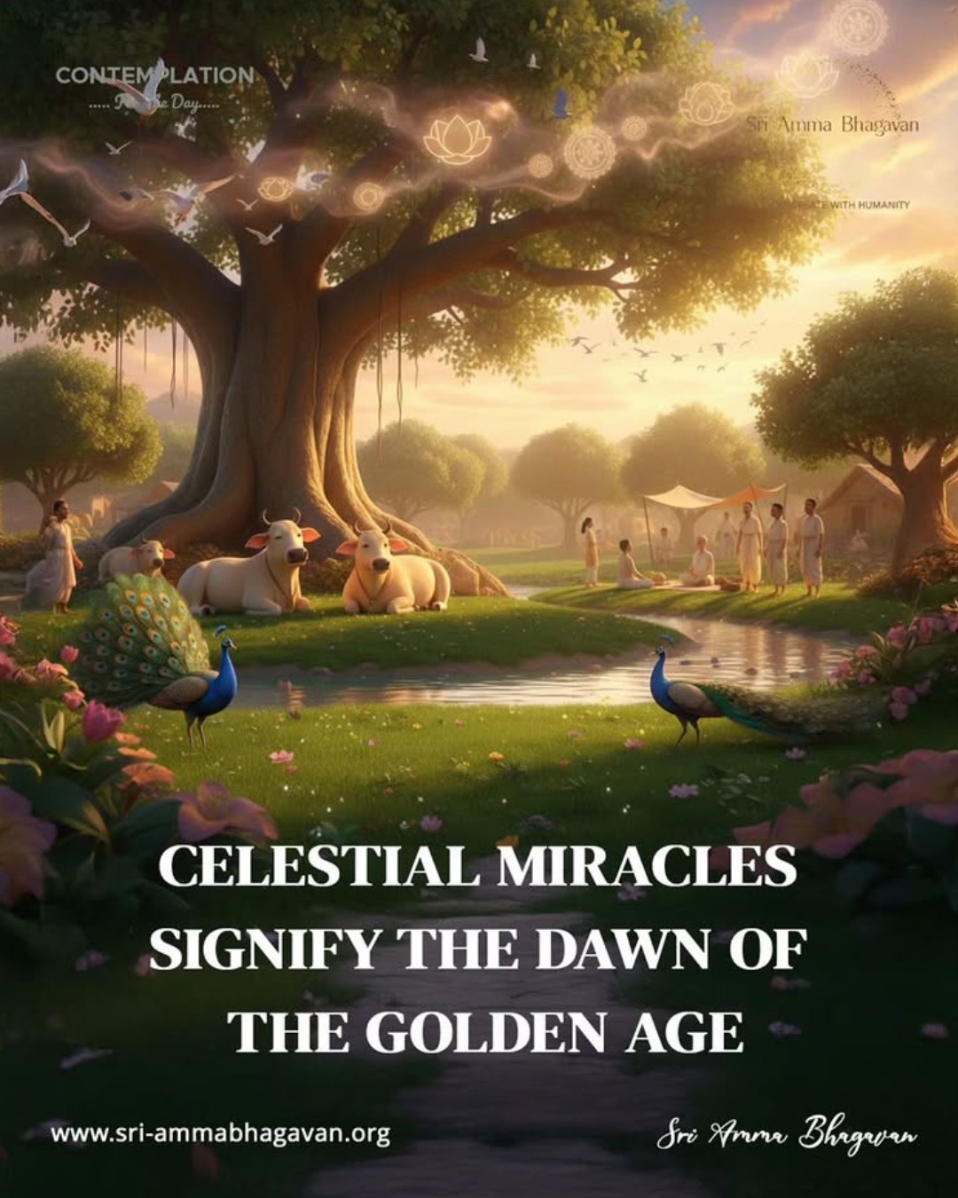 Sri Amma Bhagavan_CONTEMPLATION for the Day