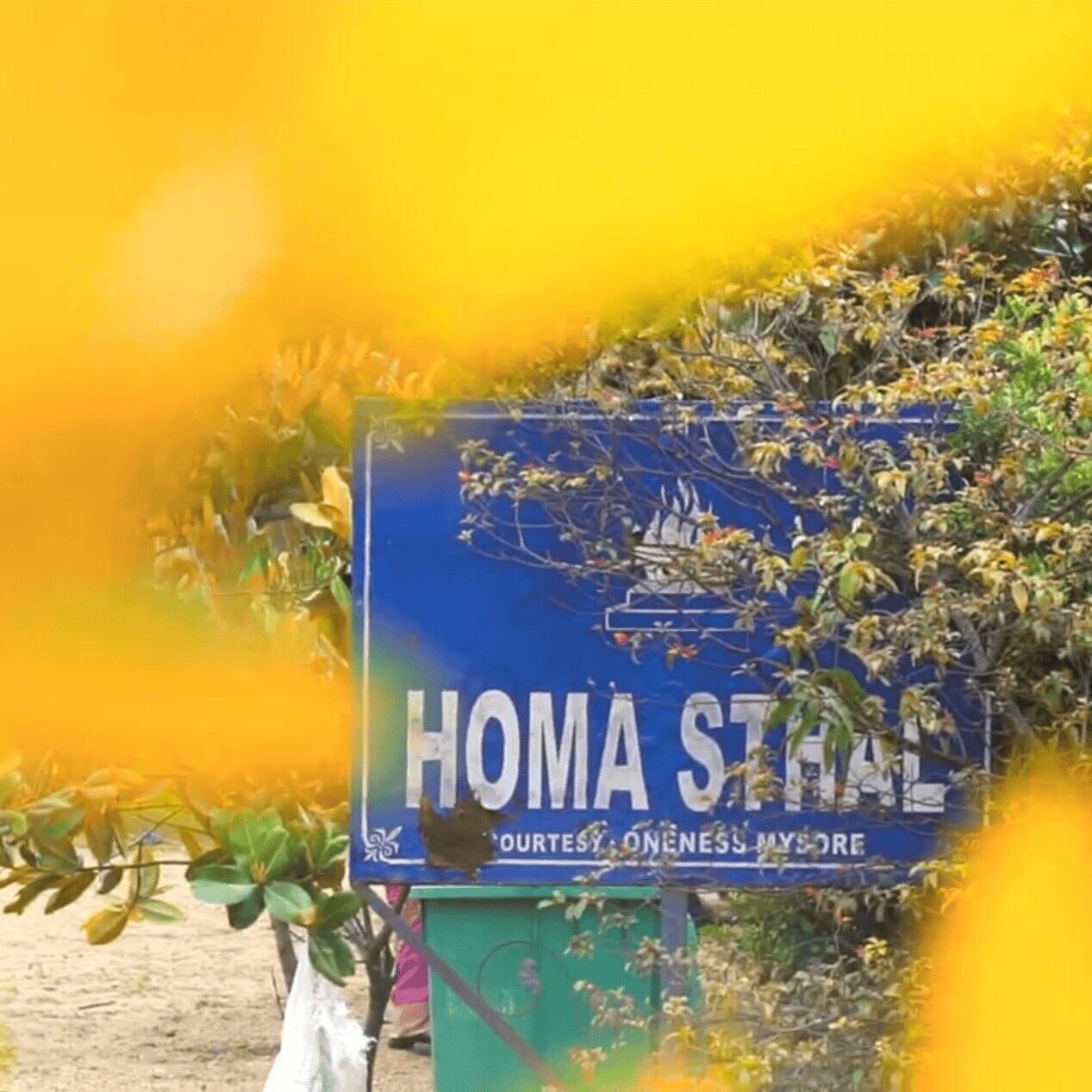 ディバインとの強固な絆