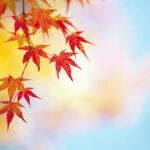 Golden Age Movement_3day course_share 2025nov_online